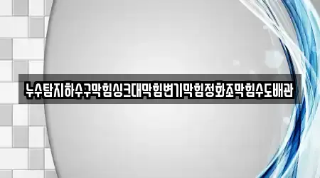 누수탐지하수구막힘싱크대막힘변기막힘정화조막힘수도배관