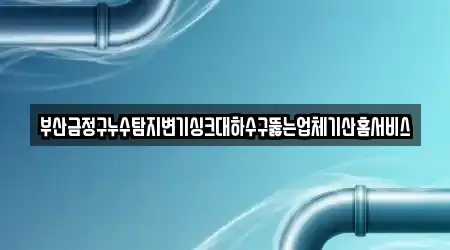 부산금정구누수탐지변기싱크대하수구뚫는업체기산홈서비스