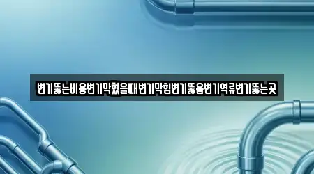 변기뚫는비용변기막혔을때변기막힘변기뚫음변기역류변기뚫는곳
