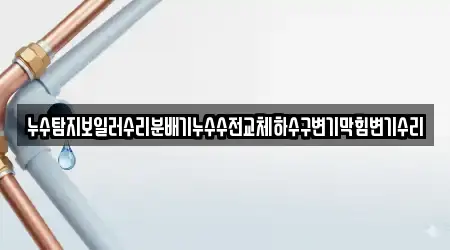 누수탐지보일러수리분배기누수수전교체하수구변기막힘변기수리
