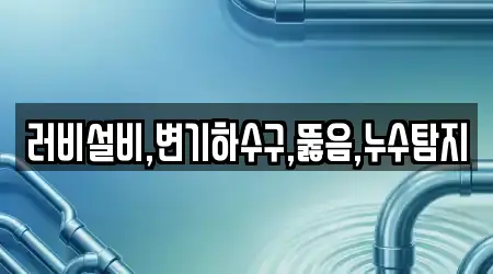 러비설비,변기하수구,뚫음,누수탐지