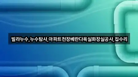빌라누수,누수탐사,아파트천장베란다욕실화장실공사,집수리