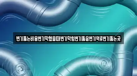 변기뚫는비용변기막혔을때변기막힘변기뚫음변기역류변기뚫는곳