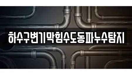 하수구변기막힘수도동파누수탐지