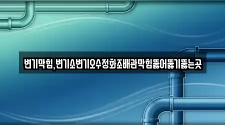 변기막힘,변기소변기오수정화조배관막힘뚫어뚫기뚫는곳