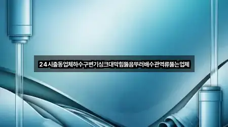 24시출동업체하수구변기싱크대막힘뚫음뚜러배수관역류뚫는업체