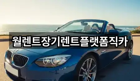 4곳 김포 고촌읍 장기렌트카 리스트