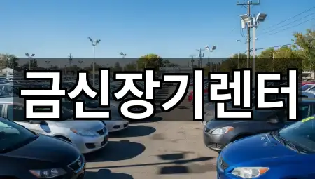 금신장기렌터