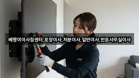 베짱이이사짐센터,포장이사,처분이사,일반이사,반포사무실이사