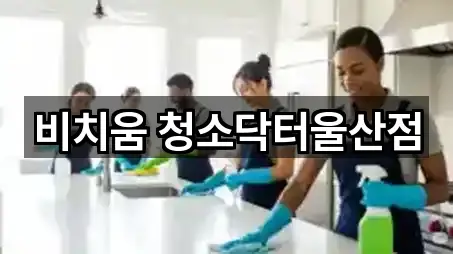 울산 동동 청소 빠른 조회 5곳