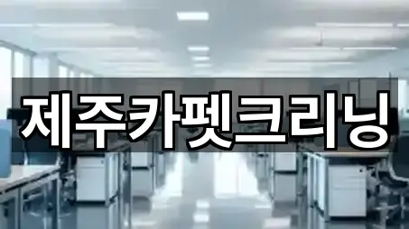 제주카펫크리닝