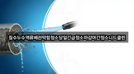 이패동 청소 즉시 연결 5곳
