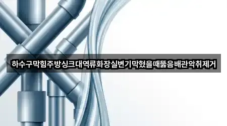 하수구막힘주방싱크대역류화장실변기막혔을때뚫음배관악취제거