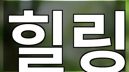 세종 아름동 마사지 5곳 주소 열람