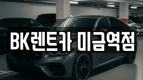 경기 성남시 분당구 구미동 렌트카 전문 BK렌트카 미금역점