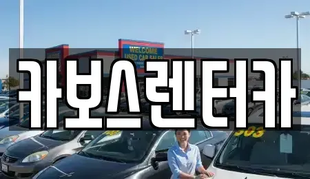 경기 성남시 분당구 구미동 렌트카 전문 카보스렌터카
