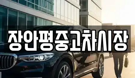 경기 성남시 분당구 구미동 중고차 전문 장안평중고차시장