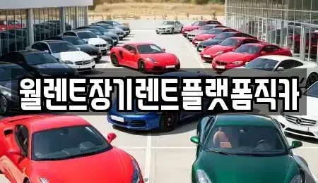 경기 이천시 모가면 장기렌트카 전문 월렌트장기렌트플랫폼직카