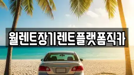 경기도 동두천시 보산동 렌트카 전문 월렌트장기렌트플랫폼직카