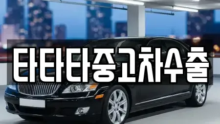 경기도 동두천시 보산동 중고차매매 전문 타타타중고차수출