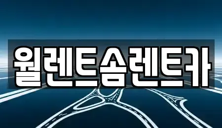 경기도 수원시 팔달구 신풍동 렌트카 전문 월렌트솜렌트카