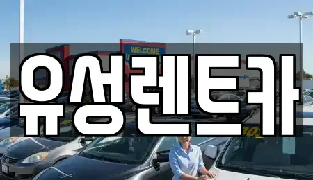 경기도 수원시 팔달구 신풍동 렌트카 전문 유성렌트카