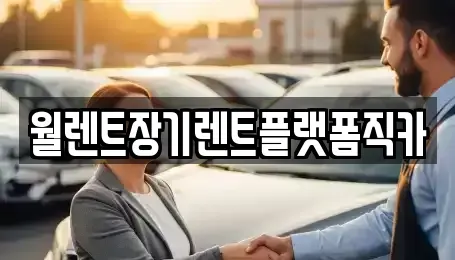 경기도 하남시 항동 장기렌트카 전문 월렌트장기렌트플랫폼직카