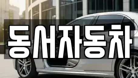 경상남도 창원시 의창구 봉곡동 중고차매매 전문 동서자동차