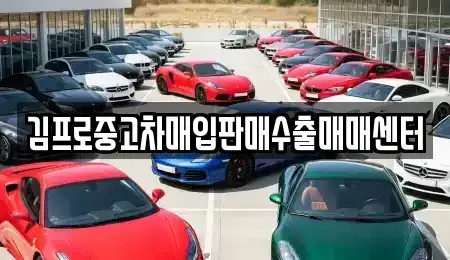 경상남도 창원시 의창구 봉곡동 중고차매입 전문 김프로중고차매입판매수출매매센터