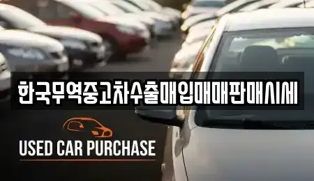 경상남도 창원시 의창구 봉곡동 중고차매입 전문 한국무역중고차수출매입매매판매시세