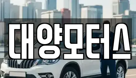 광주 광산구 임곡동 중고차 전문 대양모터스