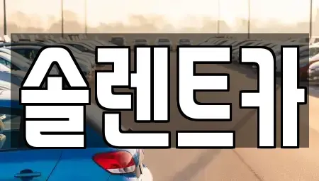 대구 북구 대현동 장기렌트카 전문 솔렌트카