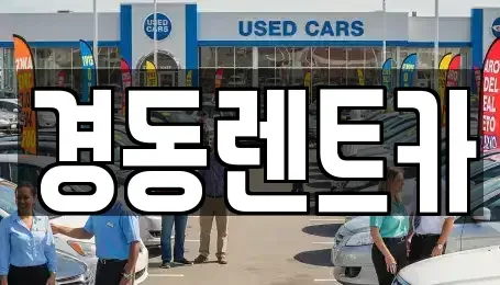대구 중구 동성로3가 렌트카 전문 경동렌트카