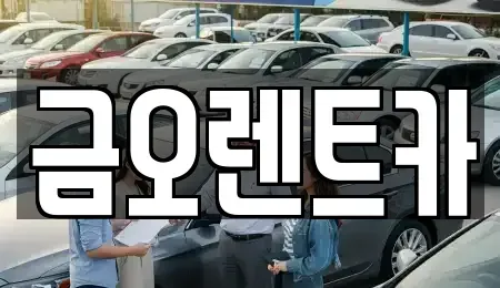 대구 중구 용덕동 렌트카 전문 금오렌트카