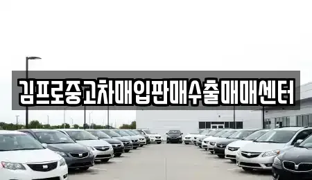 대전광역시 동구 성남동 중고차매매 전문 김프로중고차매입판매수출매매센터