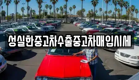 대전광역시 동구 성남동 중고차매매 전문 성실한중고차수출중고차매입시세
