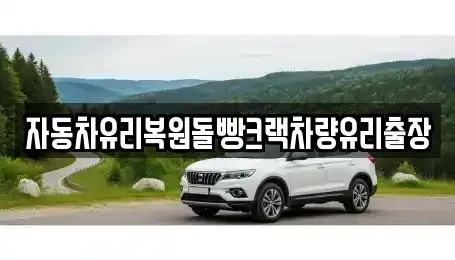 대전광역시 동구 성남동 중고차매매,단기렌트카,중고차매입,장기렌트카,중고차,렌트카
