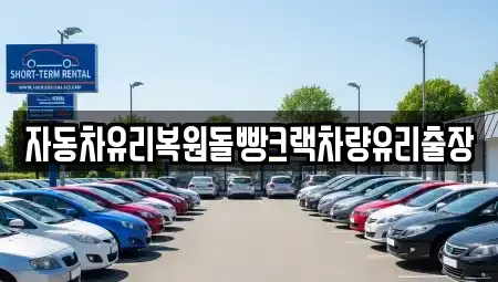 대전광역시 동구 소호동 중고차 전문 자동차유리복원돌빵크랙차량유리출장