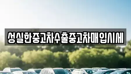 대전광역시 동구 소호동 중고차매매 전문 성실한중고차수출중고차매입시세
