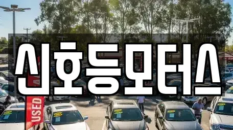 부산 사상구 주례동 중고차매매 전문 신호등모터스