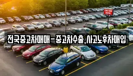 부산 사상구 주례동 중고차매매 전문 전국중고차매매-중고차수출,사고노후차매입