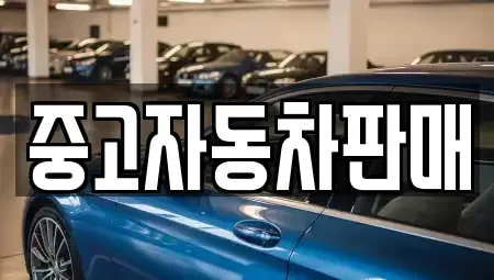 부산 사상구 주례동 중고차매매 전문 중고자동차판매