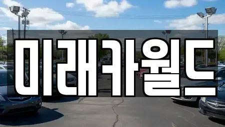 서울특별시 성동구 용답동 중고차 전문 미래카월드