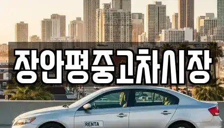 서울특별시 성동구 용답동 중고차 전문 장안평중고차시장