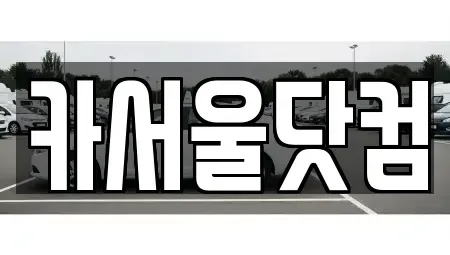 서울특별시 성동구 용답동 중고차 전문 카서울닷컴