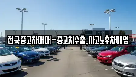 서울특별시 성동구 용답동 중고차매입 전문 전국중고차매매-중고차수출,사고노후차매입