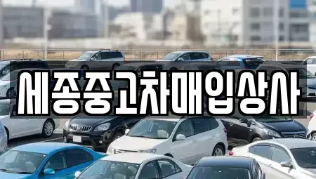 세종 새롬동 중고차매입 전문 세종중고차매입상사