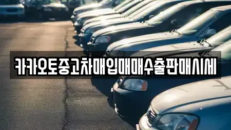 인천광역시 중구 중산동 중고차매입 전문 카카오토중고차매입매매수출판매시세