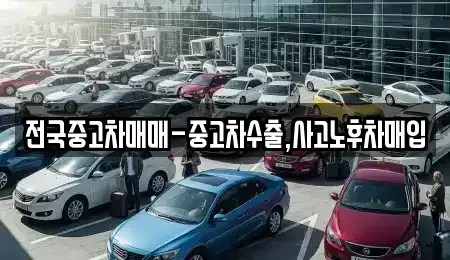 전남 목포시 북교동 중고차매입 전문 전국중고차매매-중고차수출,사고노후차매입