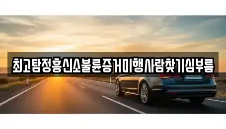 전라남도 순천시 석현동 중고차매입 전문 최고탐정흥신소불륜증거미행사람찾기심부름